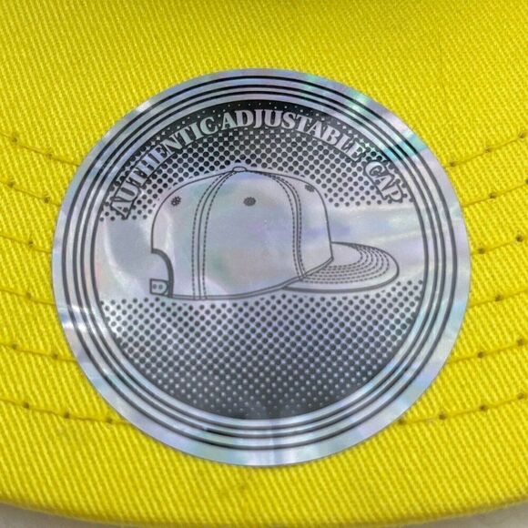 NWT Angry Birds Embroidered Snapback Cap A Is For Angry Black Concept One Access - Picture 2 of 11